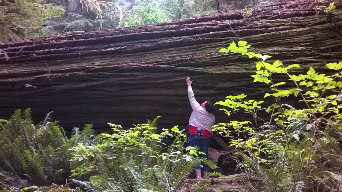 20160816_09_34_28_Pro